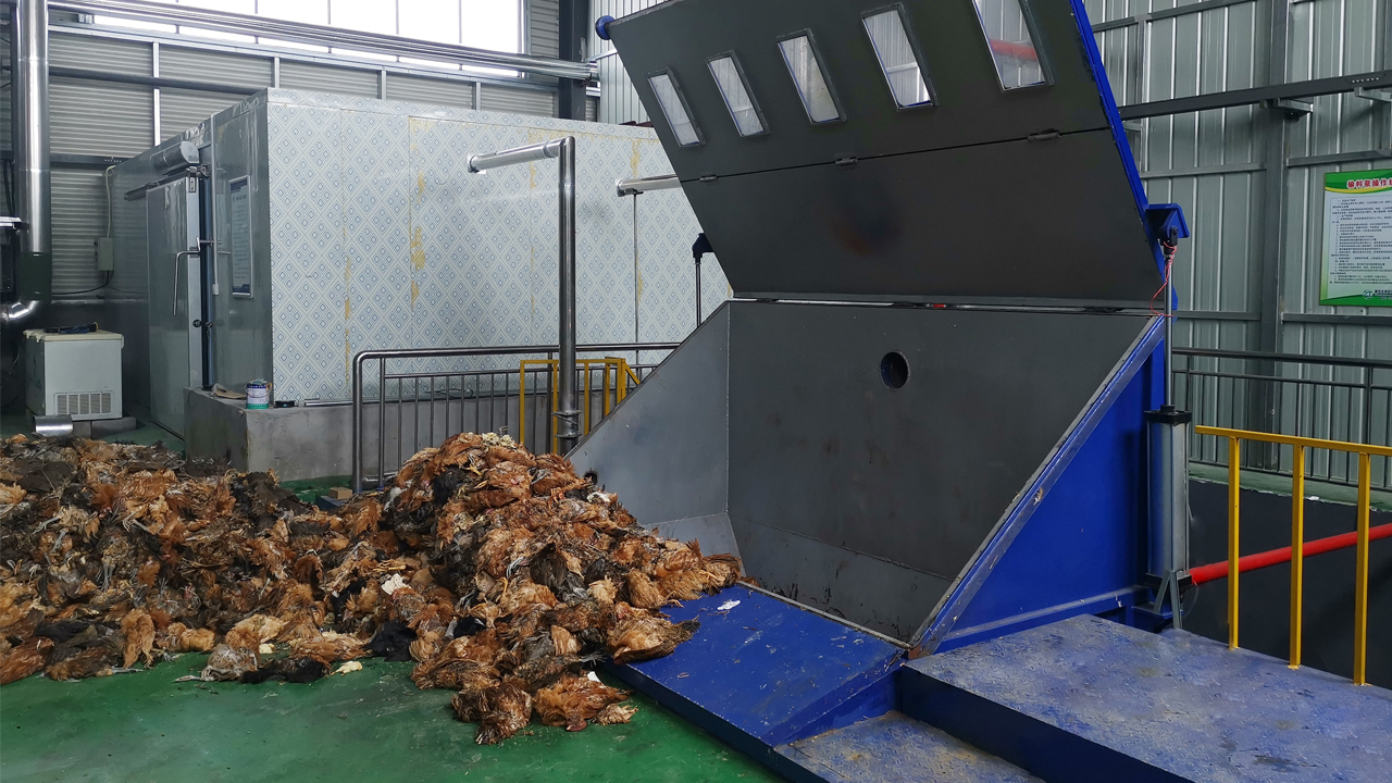 687e08bd189cc.jpg 31.jpg